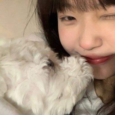 失落的古墓最新版下载